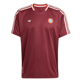Pánské Bayern Munich Ikona Fotbalový dres 2025/26