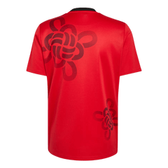 Pánské Manchester United Fotbalový dres 2025/26